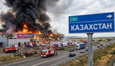Wildberries в Казахстане: подарок для экономики или политическая ловушка?