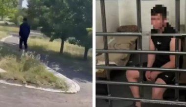 Астанчанка добилась уголовного дела после нападения мужчины в парке