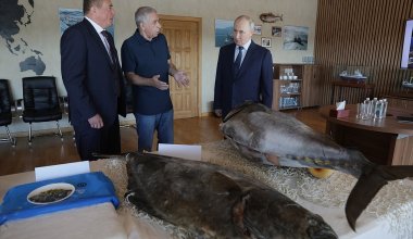 Путин впервые приехал на Курилы и вызвал протест Японии