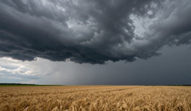 Понижение температуры и град ожидаются  в некоторых регионах Казахстана