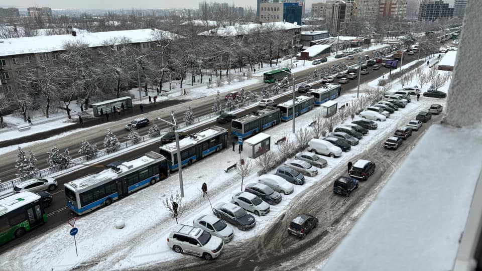 Фото: Даурен Аскаров
